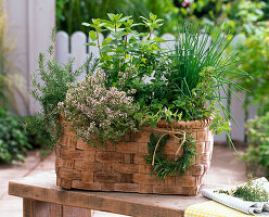 Plant the herb basket