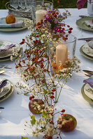 Table in front of autumn bed: garland of Clematis vitalba