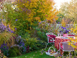 Row house garden with seating and autumn bed