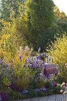 Autumn border with Aster (autumn aster), Aconitum (aconite)