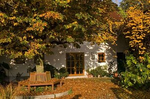 Haus mit Aesculus (Kastanie) als Hausbaum, Bank aus Holz um den Baum