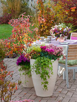 Herbstliche Terrasse mit Sitzgruppe und bepflanzten Kübeln