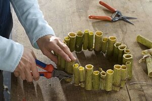 Wreath of knotweed stems