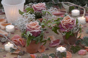 Gestecke im Rauhreif mit Rosa (Rosen)