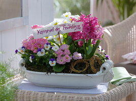 Weiße Jardiniere aus Keramik bepflanzt mit Hyacinthus 'Pink Pearl'