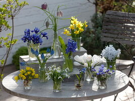 Spring blooms in small glasses