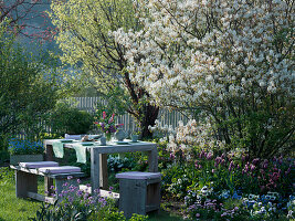 Sitzgruppe auf dem Rasen vor Beet mit Amelanchier (Felsenbirne)