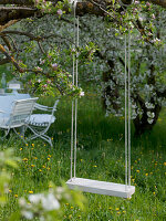 Swing hung on branch of flowering malus (apple tree)