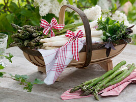 Asparagus officinalis (green and white asparagus)