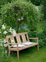 Wooden bench in front of Salix caprea 'Pendula' (hanging catkin willow)