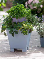 Herbs planted in a double pot to save space