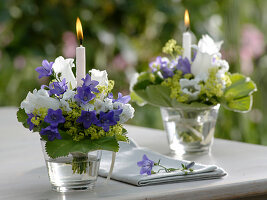 Small bouquets from Campanula, Alchemilla