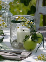 Apple table decoration in summer meadow