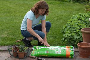 Planting a mini snack garden in a soil bag (2/5)