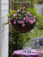 Hanging basket for the shadow