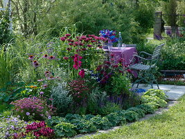 Monarda 'Cambridge Scarlet' (Indian Nettle), Gladiolus (Gladiolus)