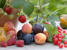 Harvest from sweet balcony