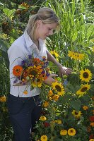 Young woman cutting flowers for late summer bouquet