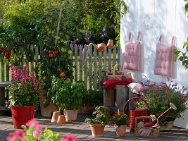 Terrace with tomatoes, peppers and basil