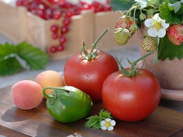 Rote Tomaten (Lycopersicon) und eine grüne Paprika (Capsicum)