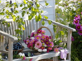 Basket with freshly cut summer asters on a wooden bench