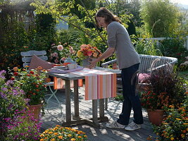 Late summer terrace with Zinnia (Zinnias), Pennisetum 'Rubrum'.