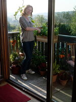 Woman harvesting basil (Ocimum basil) on balcony