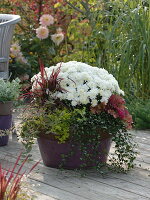 Mother and daughter are planting autumn buckets