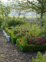 Farmhouse garden in late summer