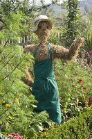 Scarecrow made of straw with gardener's apron in the cottage garden