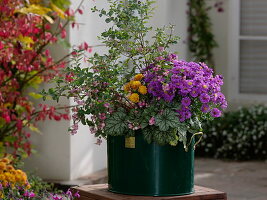 Green tin container with colourful plants