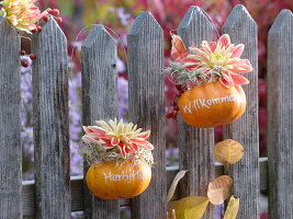 Small pumpkins with message hanging on fence