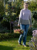 Young woman carrying harvested apples in wire basket