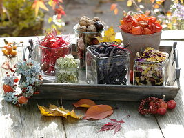 Tray with jars full of flowers, leaves, nuts, lantern fruit and beans