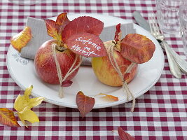 Herbstliche Serviettendeko : Apfel (Malus) mit Herz aus Schnur an Stiel gebunden und beschriebenem Blatt : 'Sinfonie im Herbst'