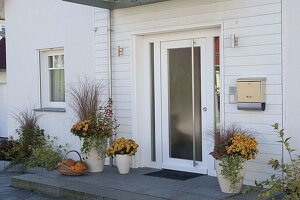 White front door with granite slab landing