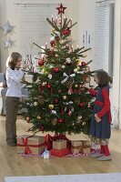 Red, white and gold decorated Nordmann fir tree