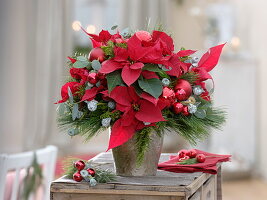 Christmas Euphorbia (Poinsettia) Bouquet