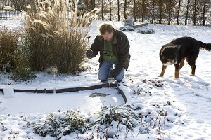 Man digging hole in frozen pond, Miscanthus (Chinese reed)
