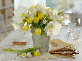 weiße Hippeastrum (Amaryllis) und Tulipa (Tulpen) in grauer Vase