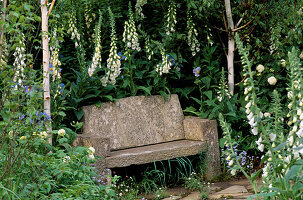 Einfacher Steinsitz in einer abgelegenen Ecke, umgeben von Fingerhut