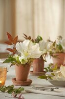 Autumnal amaryllis table decoration