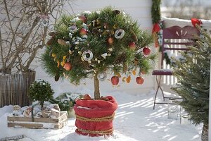 Birdseed tree on snowy balcony