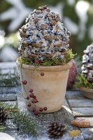 Pine cones filled with birdseed