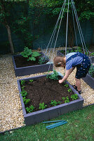 CONNIE PLANTING PARSLEY IN THE DECORATIVE CHILDRENS POTAGER