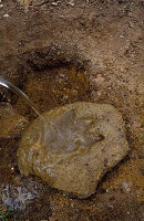 Dinosaurier-Fußabdrücke: Reinigung der Zementform mit Wasser