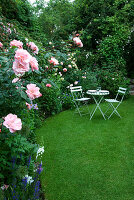 Garten mit Rasen, Holztisch und -stühlen und der Rose 'Natalie Nypels'