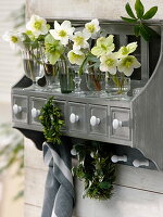 Helleborus niger flowers in small glasses on the wall board