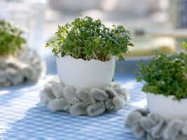 Easter table decoration with cress eggs and willow catkins