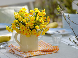 Narcissus 'Soleil d'Or' (Tazett daffodils) in a jar